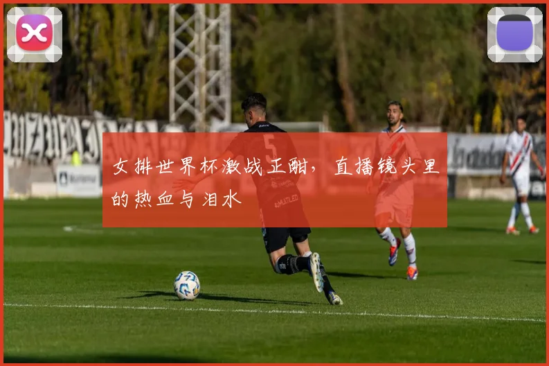 女排世界杯激战正酣，直播镜头里的热血与泪水