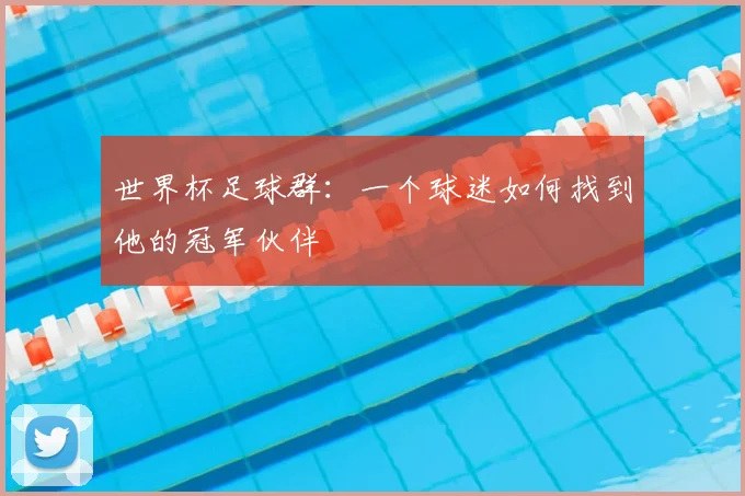世界杯足球群：一个球迷如何找到他的冠军伙伴